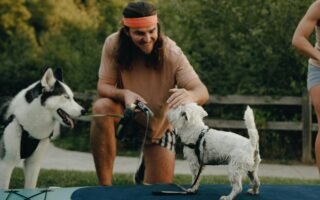 O que fazer com o pet quando for viajar