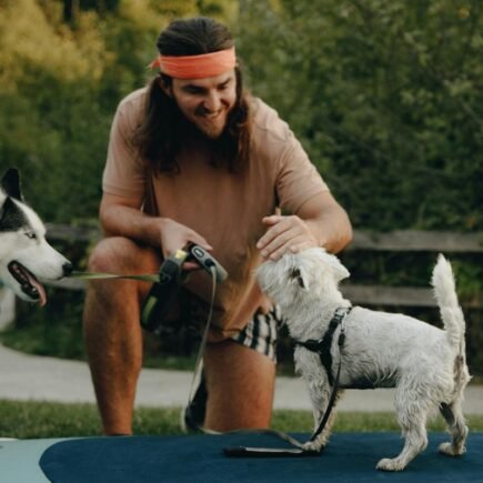 O que fazer com o pet quando for viajar