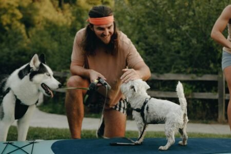 O que fazer com o pet quando for viajar