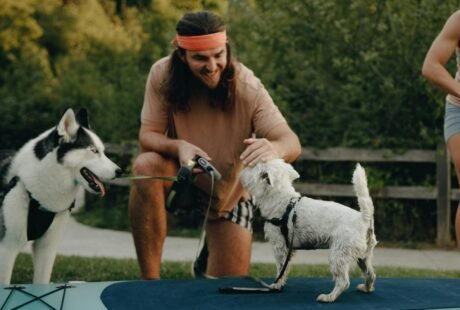 O que fazer com o pet quando for viajar